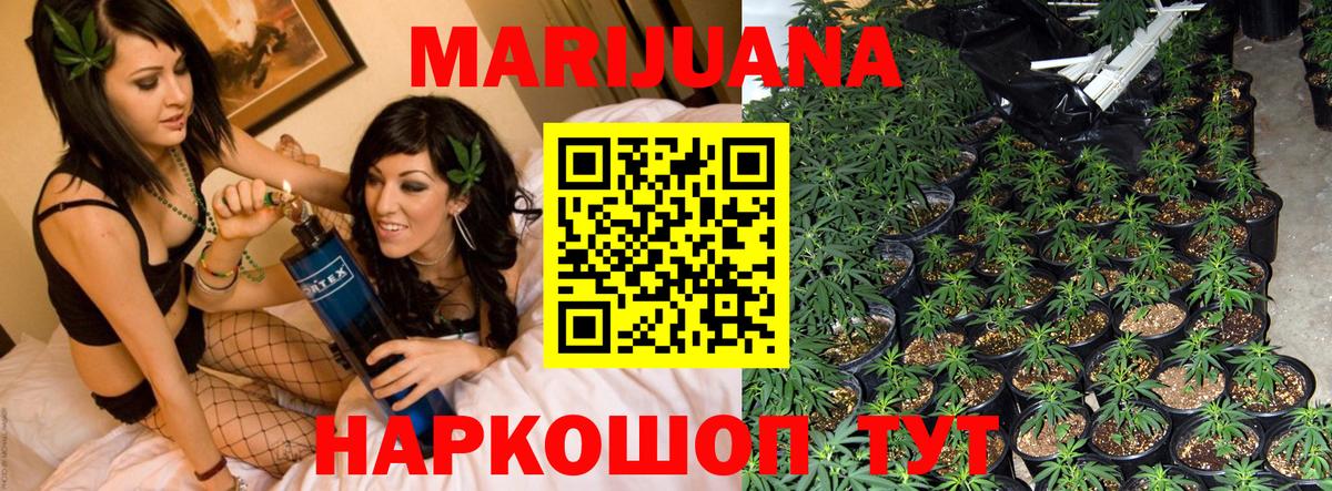 Шишки марихуана White Widow Вязники